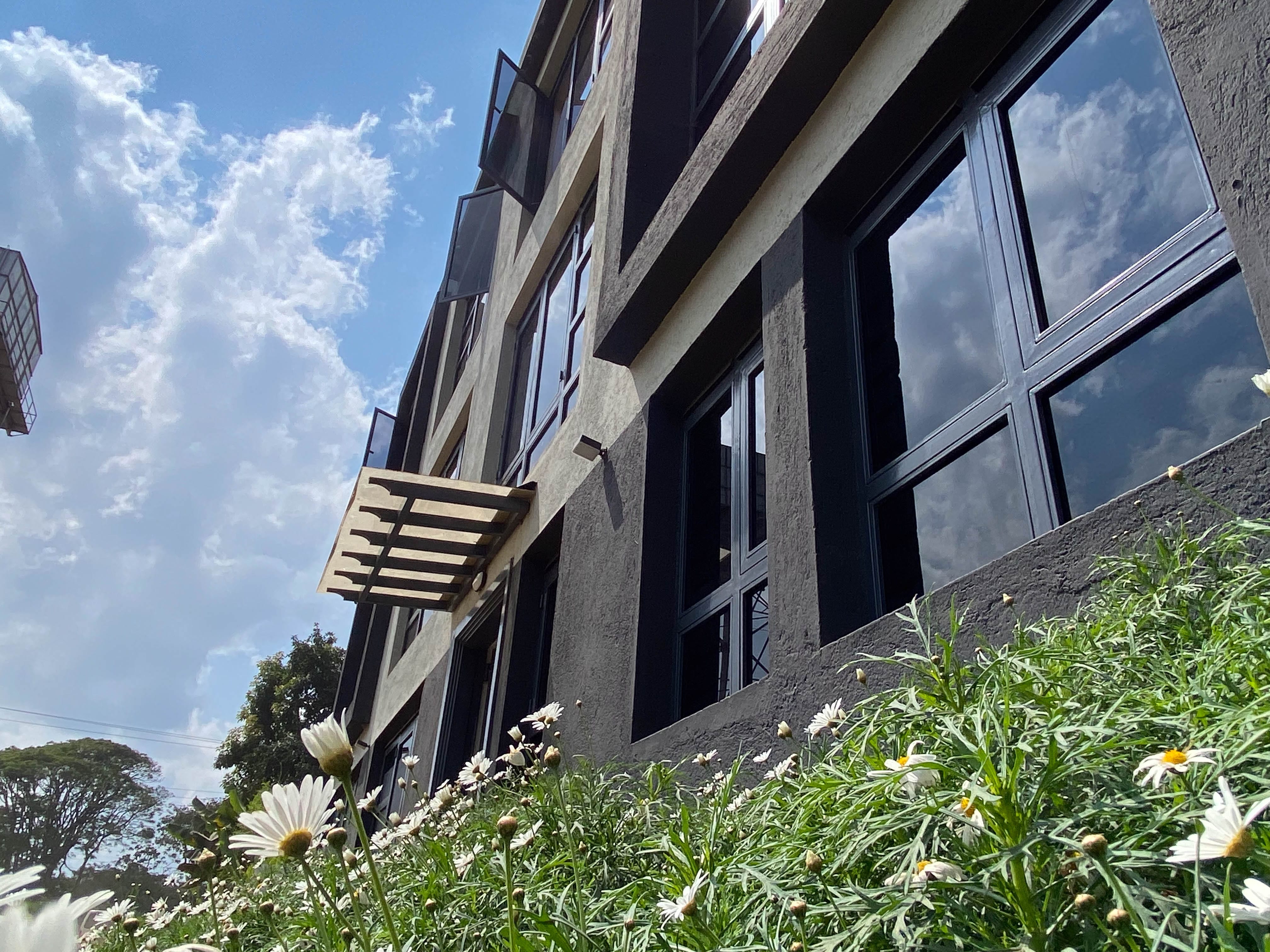 Looking up the hotel facade past white daisies, pergola and a blue highland sky